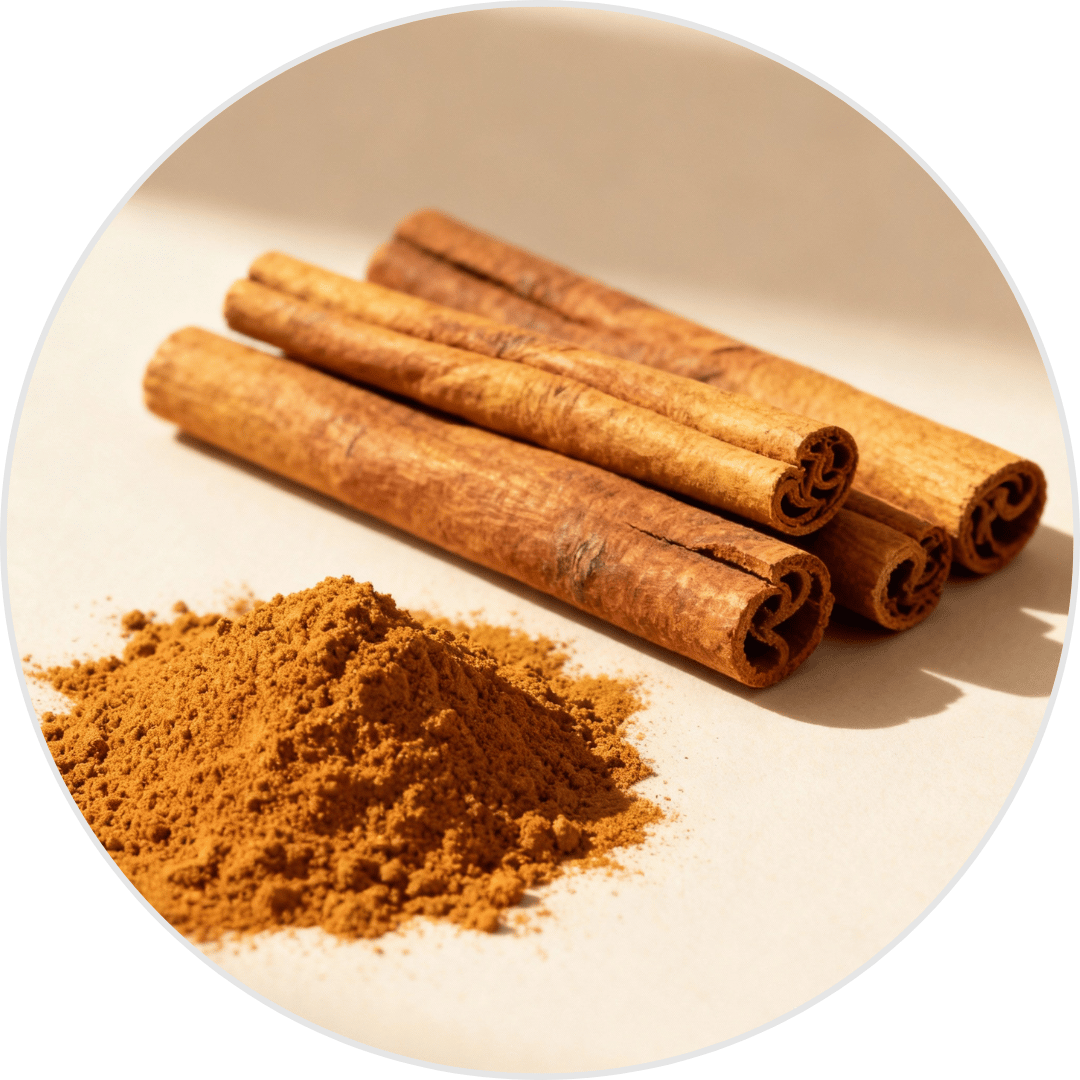 Cinnamon extract natural ingredient used in GlycoQ Blood Support